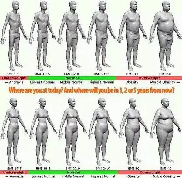 探索真实3D人体模型维塑体测仪 2 维塑科技 维塑科技