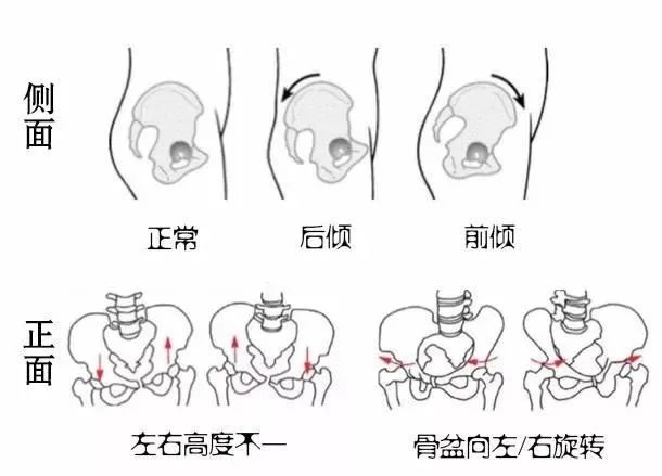 微信图片20240621111008 维塑科技 维塑科技