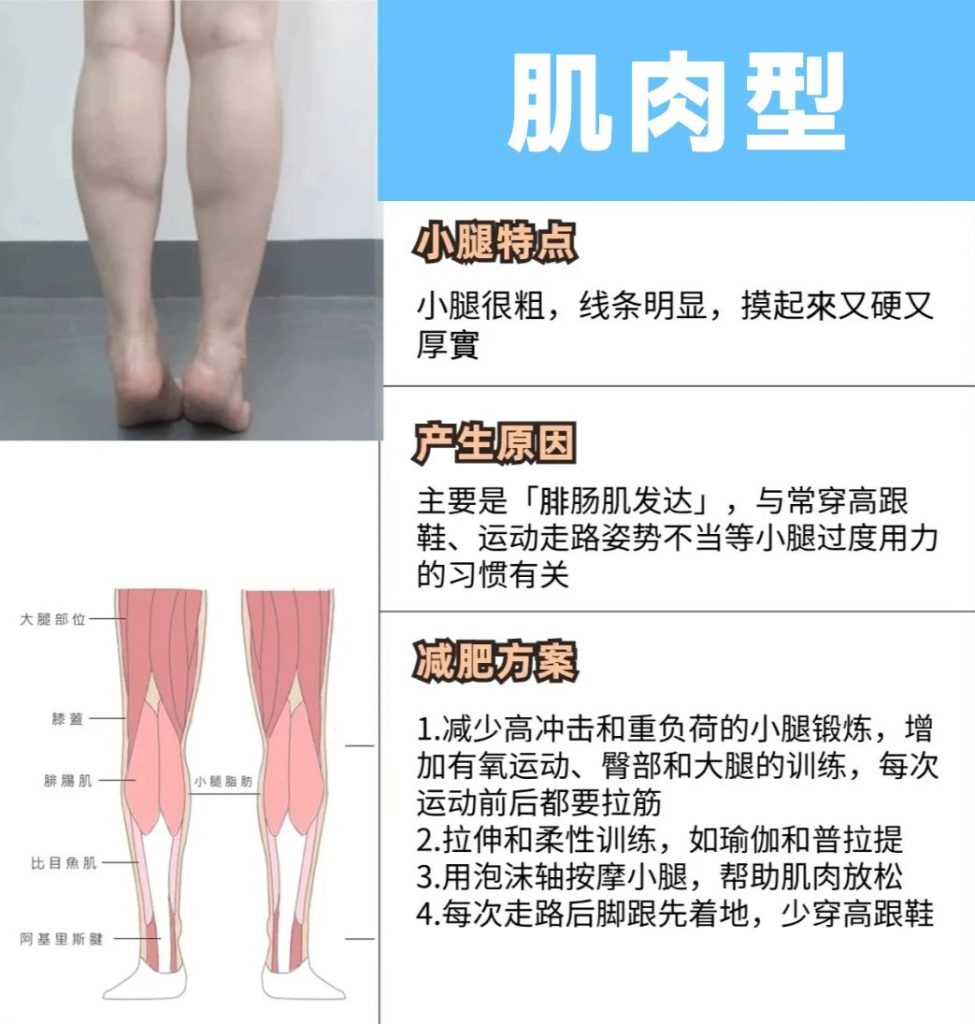 微信图片20240809104124 维塑科技 维塑科技