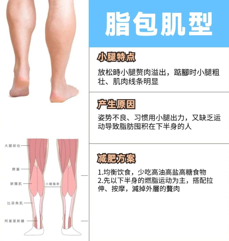 微信图片20240809104129 维塑科技 维塑科技