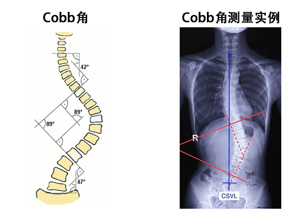微信图片20241205100844 维塑科技 维塑科技