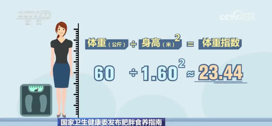 1743410449816 维塑科技
