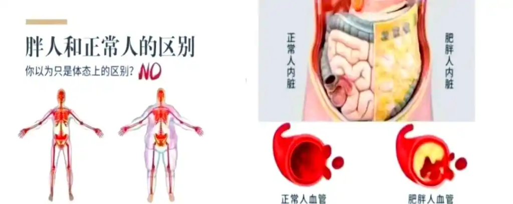 1747882230029 维塑科技 维塑科技